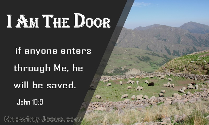 John 10:9 Jesus Said I Am The Door (beige)